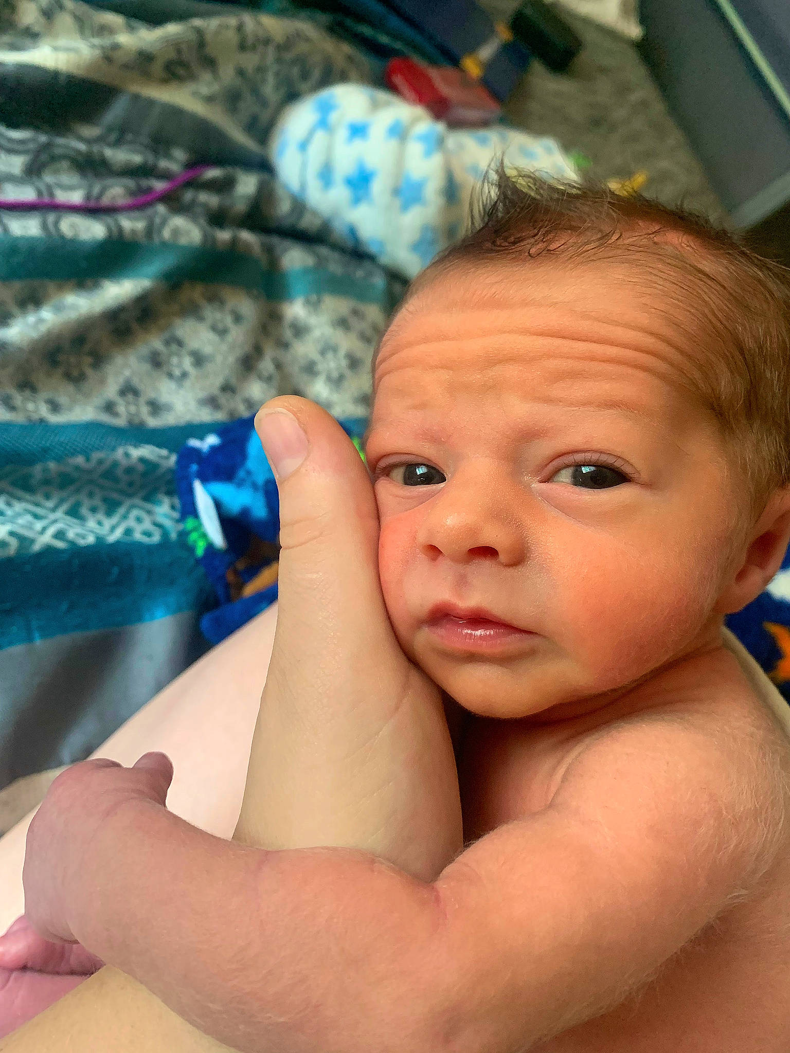 Bentley joined the competition — help win amazing prizes! azure, baby, cheek, chin, ear, eye, eyebrow, eyelash, finger, forehead, gesture, hair, happy, head, iris, lip, mouth, nose, person, product