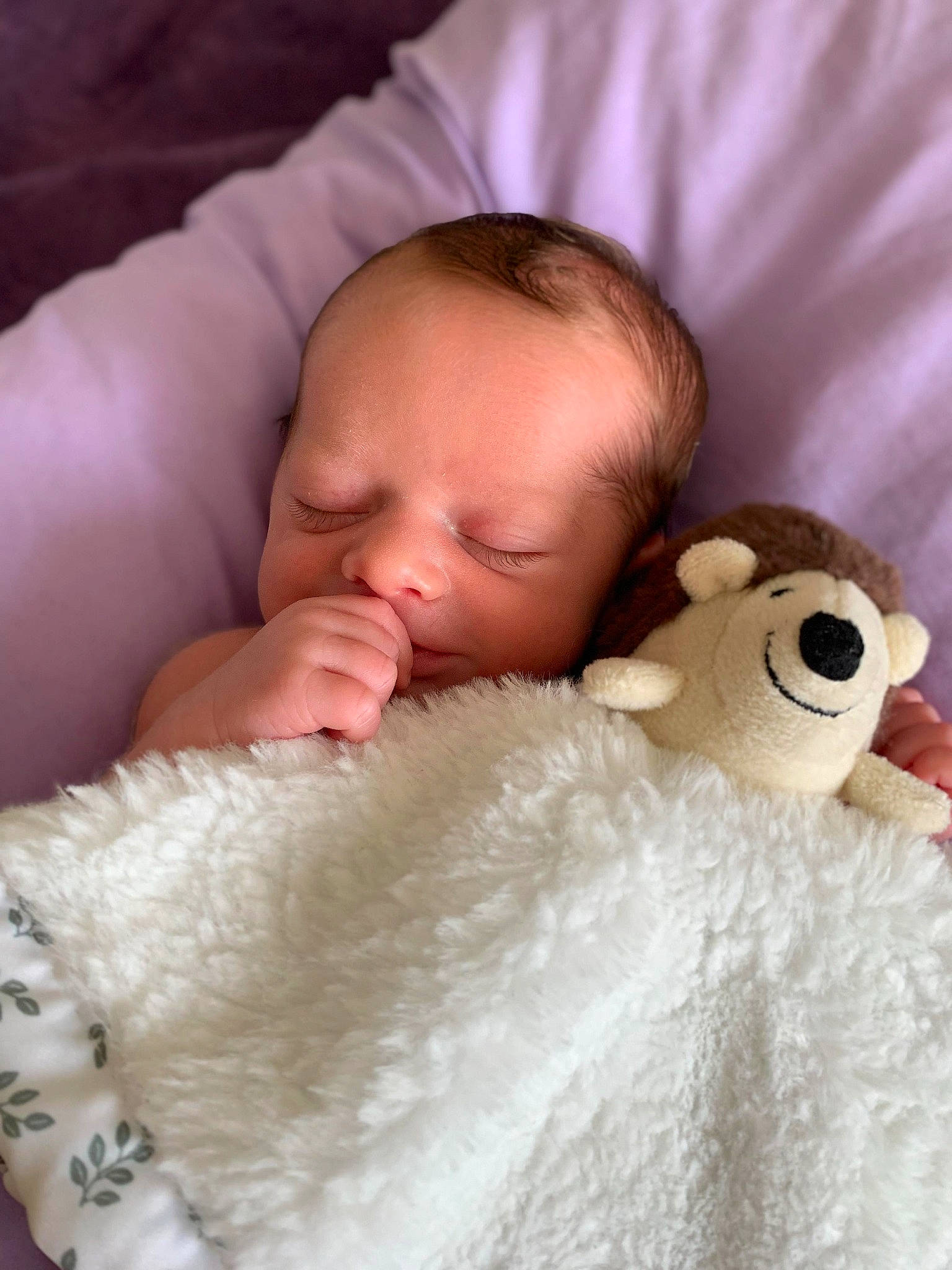 Bentley joined the competition — help win amazing prizes! baby, baby_sleeping, baby_toddler_clothing, bedding, bedtime, cheek, child, comfort, facial_expression, finger, fur, head, linens, lip, nose, person, room, skin, textile, toddler