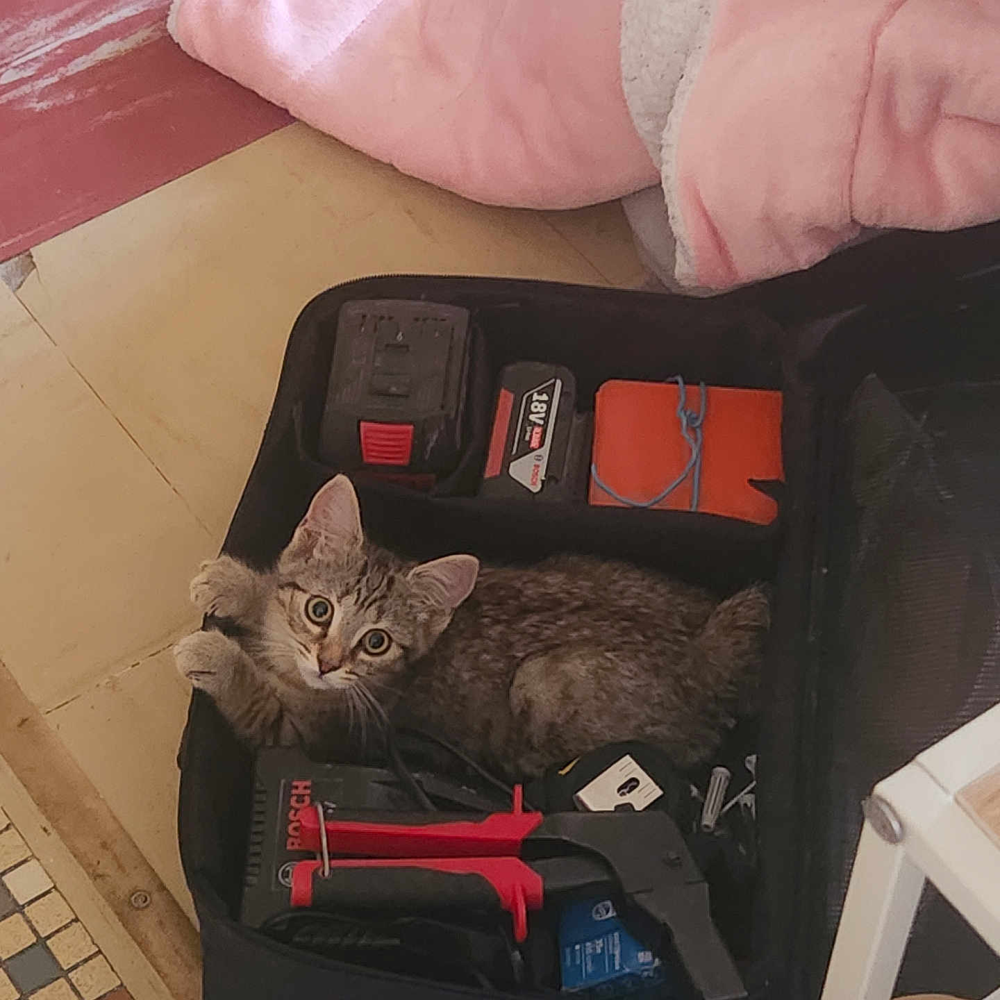 Kiko