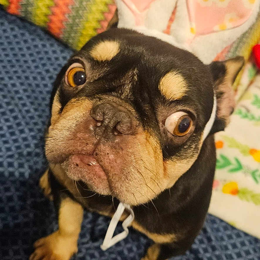 Coco