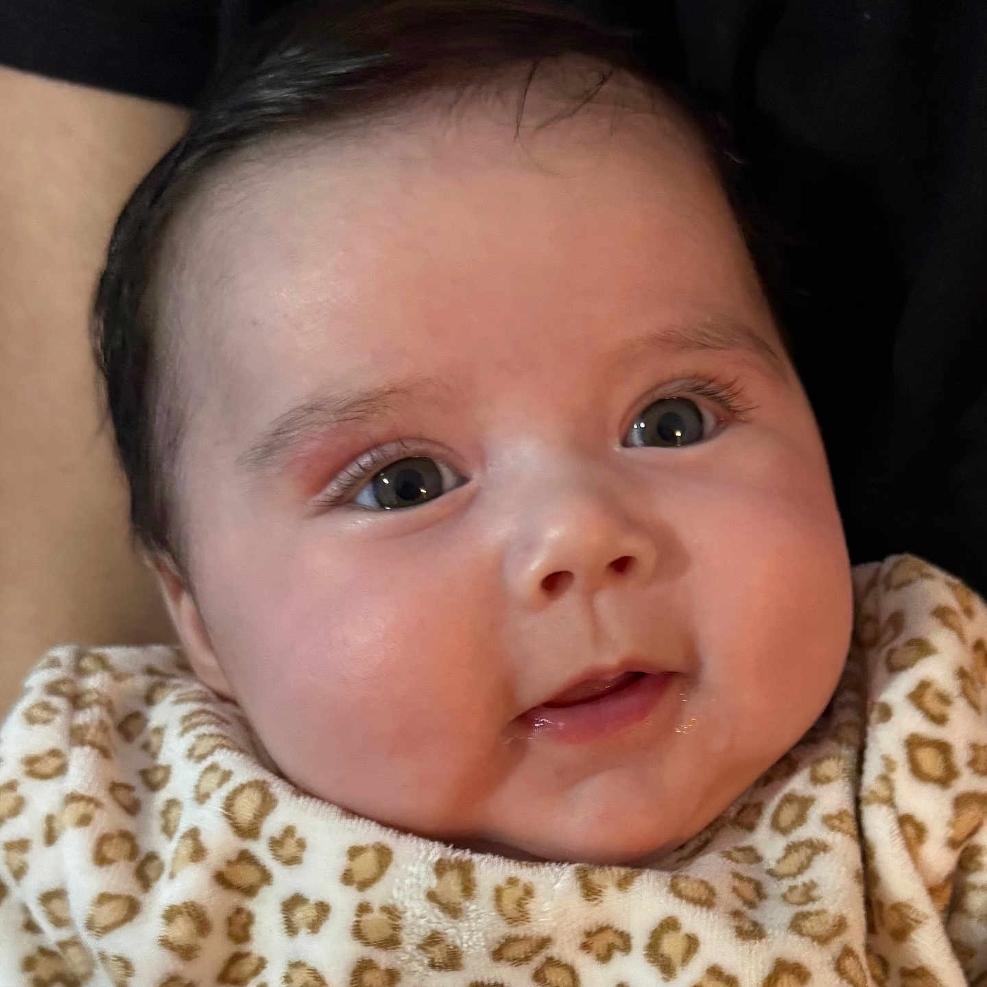 Giulia a rejoint le concours — aidez-le/la à gagner de superbes lots ! adorable, baby, cheeks, child, closeup, clothing, cute, expression, eyes, face, head, indoor, infant, leopard_print, newborn, person, portrait, skin, soft_light, young