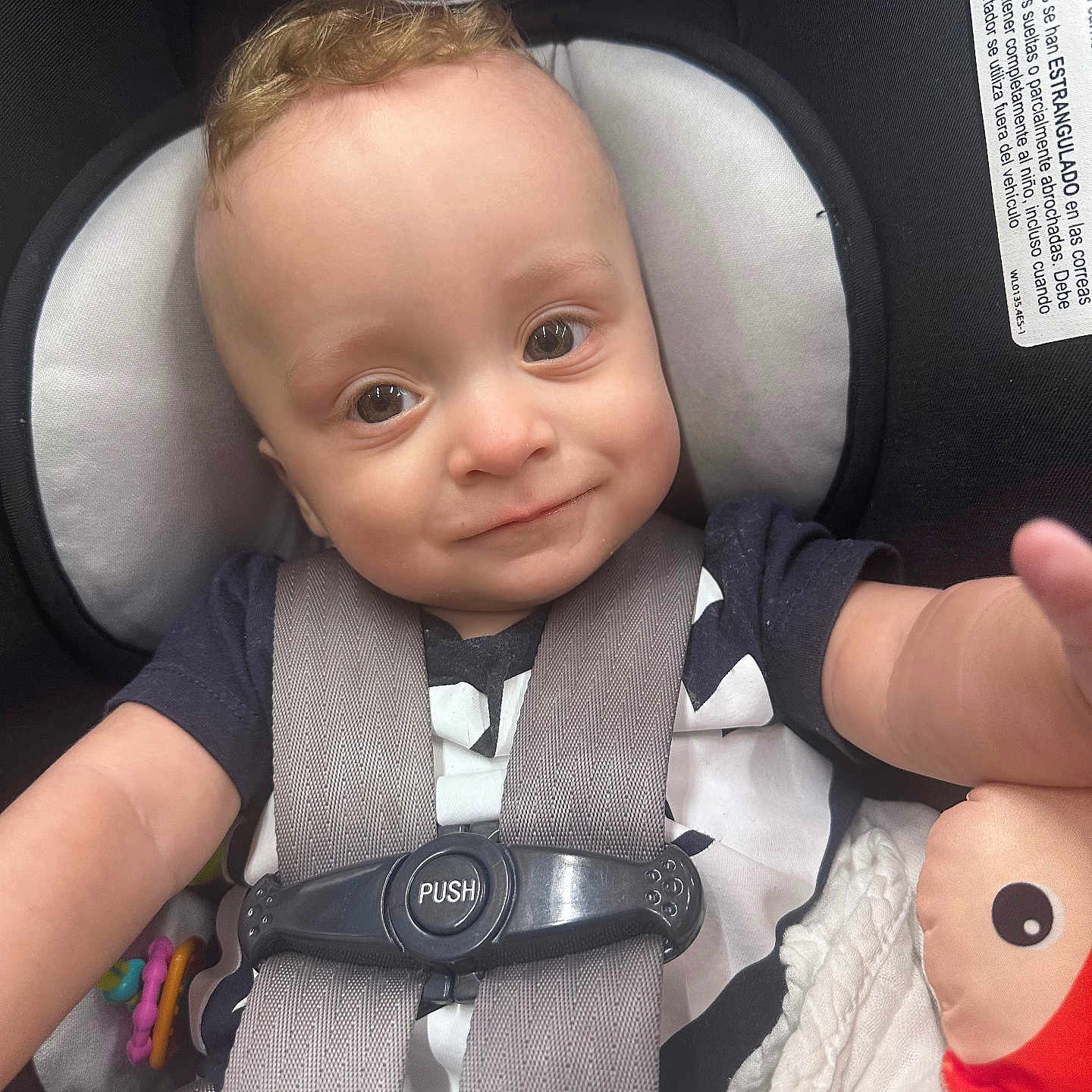Xander is registered to the contest to win money with this photo: baby, car_seat, chicco, child, closeup, clothing, curly_hair, cute, face, happy, indoor, infant, person, plush_toy, portrait, safety_harness, seat_belt, smile, toy, young_child