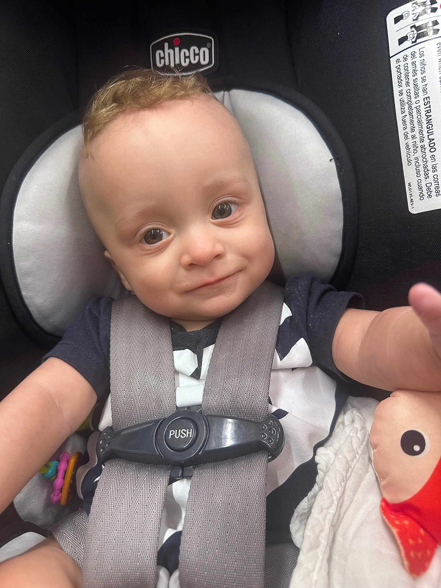 Xander is registered to the contest to win money with this photo: baby, child, car_seat, chicco, safety_harness, smile, curly_hair, toy, plush_toy, infant, closeup, person, cute, seat_belt, young_child, indoor, happy, face, clothing, portrait