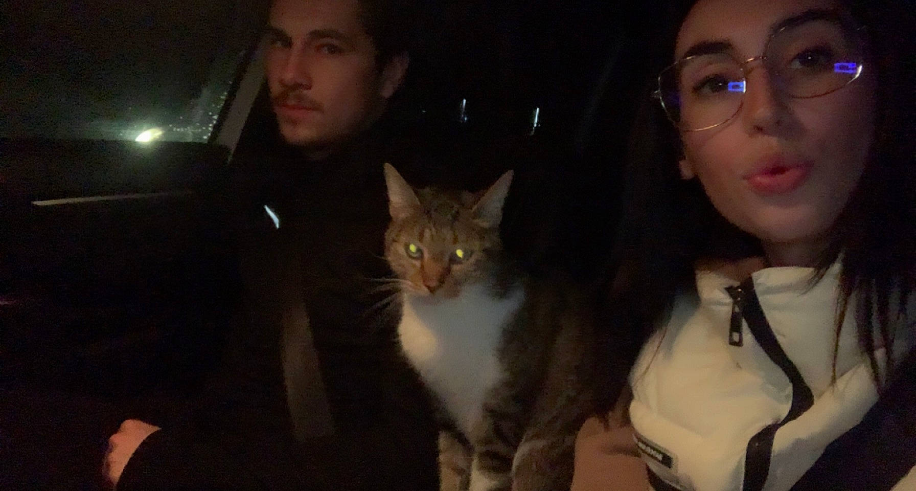 Oreo participe au concours pour gagner de l'argent avec cette photo : carnivore, cat, darkness, domestic_short_haired_cat, ear, eye, face, fawn, felidae, formal_wear, fun, fur, gesture, hand, head, iris, lap, night, small_to_medium_sized_cats, whiskers