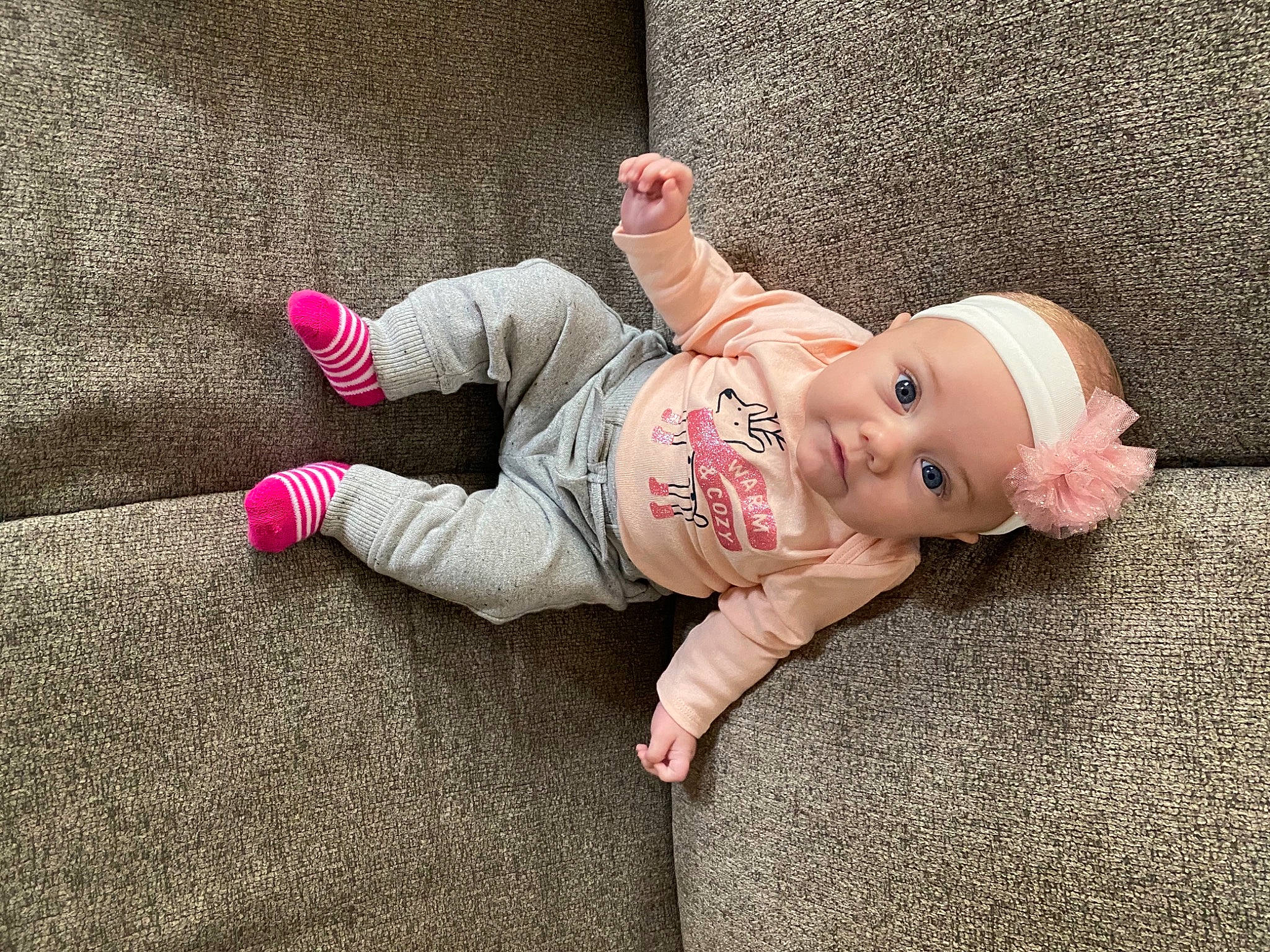 Lovelyn joined the competition — help win amazing prizes! baby, child, crawling, floor, flooring, headwear, leg, person, pink, plant, play, toddler