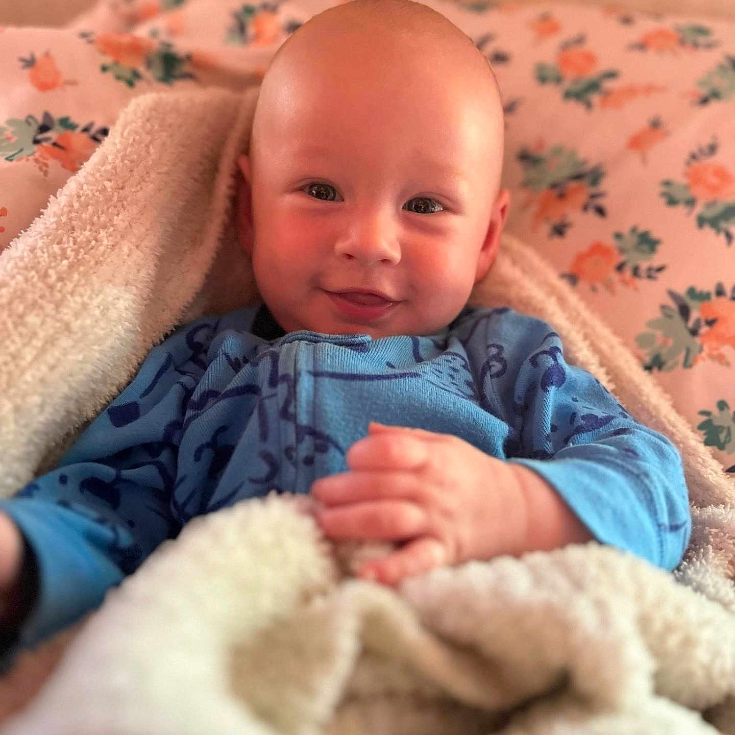 Joseph is registered to the contest to win money with this photo: animal, baby, babylaughing, blanket, canine, dog, face, happy, head, newborn, person, pet, photography, portrait, quilt, sitting, smile