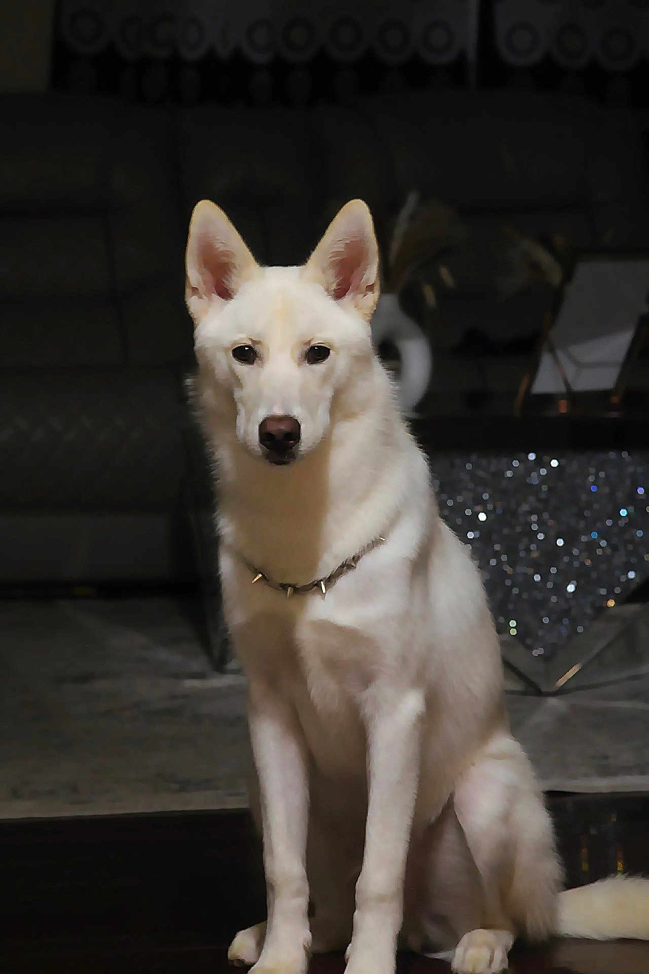 Casper