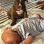 puppy, dog, baby, infant, carpet, rug, indoor, cute, animal, child, sleeping, pet, furniture, floor, clothing, blue, striped, blanket, resting, domestic