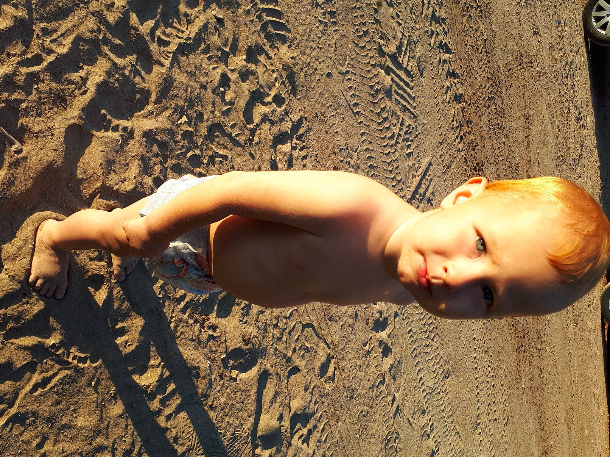 Henry Jr joined the competition — help win amazing prizes! arm, blond, fawn, flash_photography, flooring, grass, hairstyle, happy, human_body, human_leg, landscape, muscle, people_in_nature, person, sand, shadow, skin, soil, tints_and_shades, tree