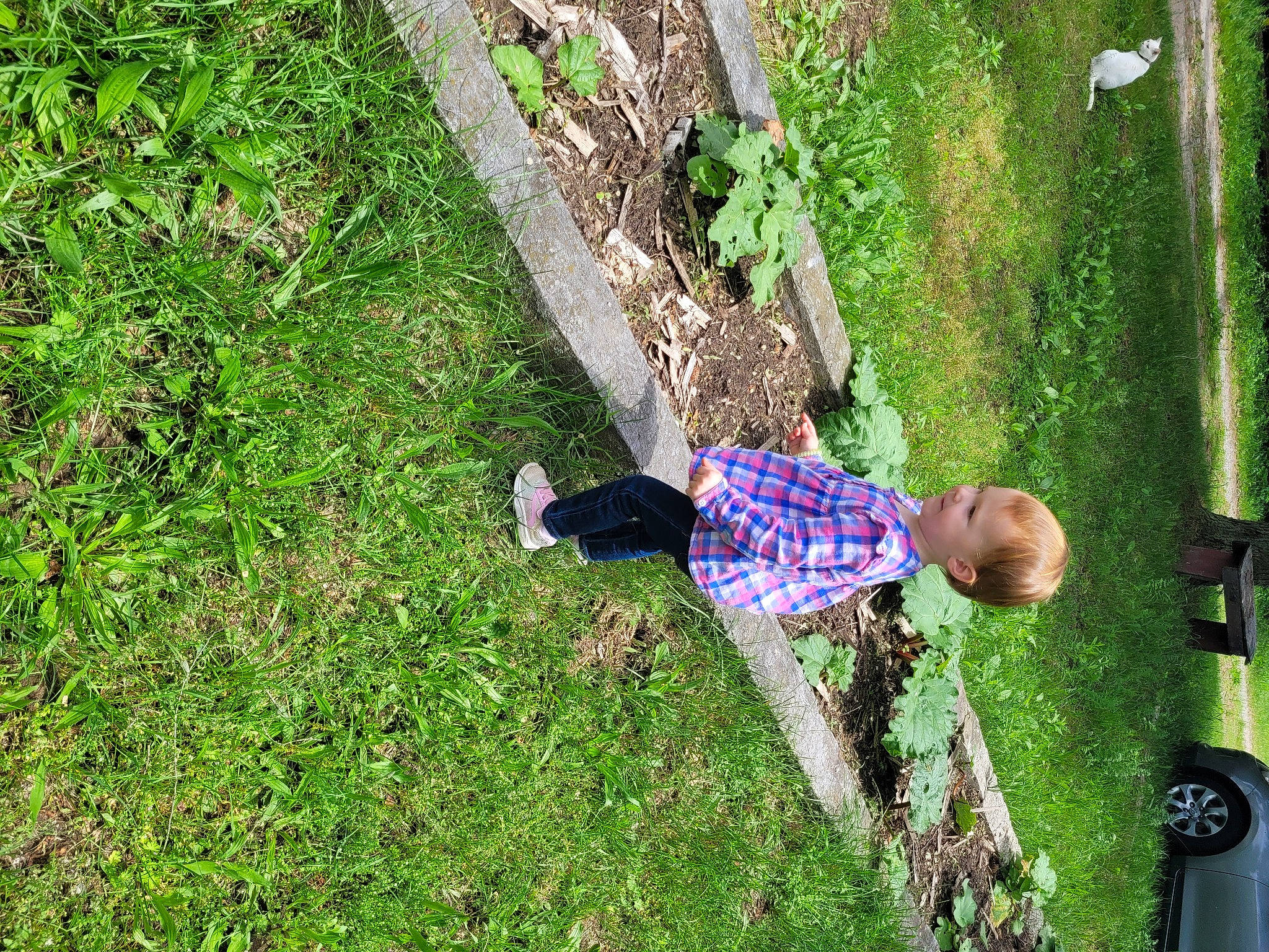 Isabell joined the competition — help win amazing prizes! car, child, fun, grass, grass_family, green, groundcover, lawn, leisure, people_in_nature, person, plant, recreation, shrub, tire, toddler, tree, trunk, vehicle, wheel