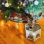 kitten, cat, box, christmas_tree, ornaments, lights, tree_skirt, wooden_floor, holiday, decorations, indoor, pet, festive, curious, tabby, small, cute, animal, christmas, cozy