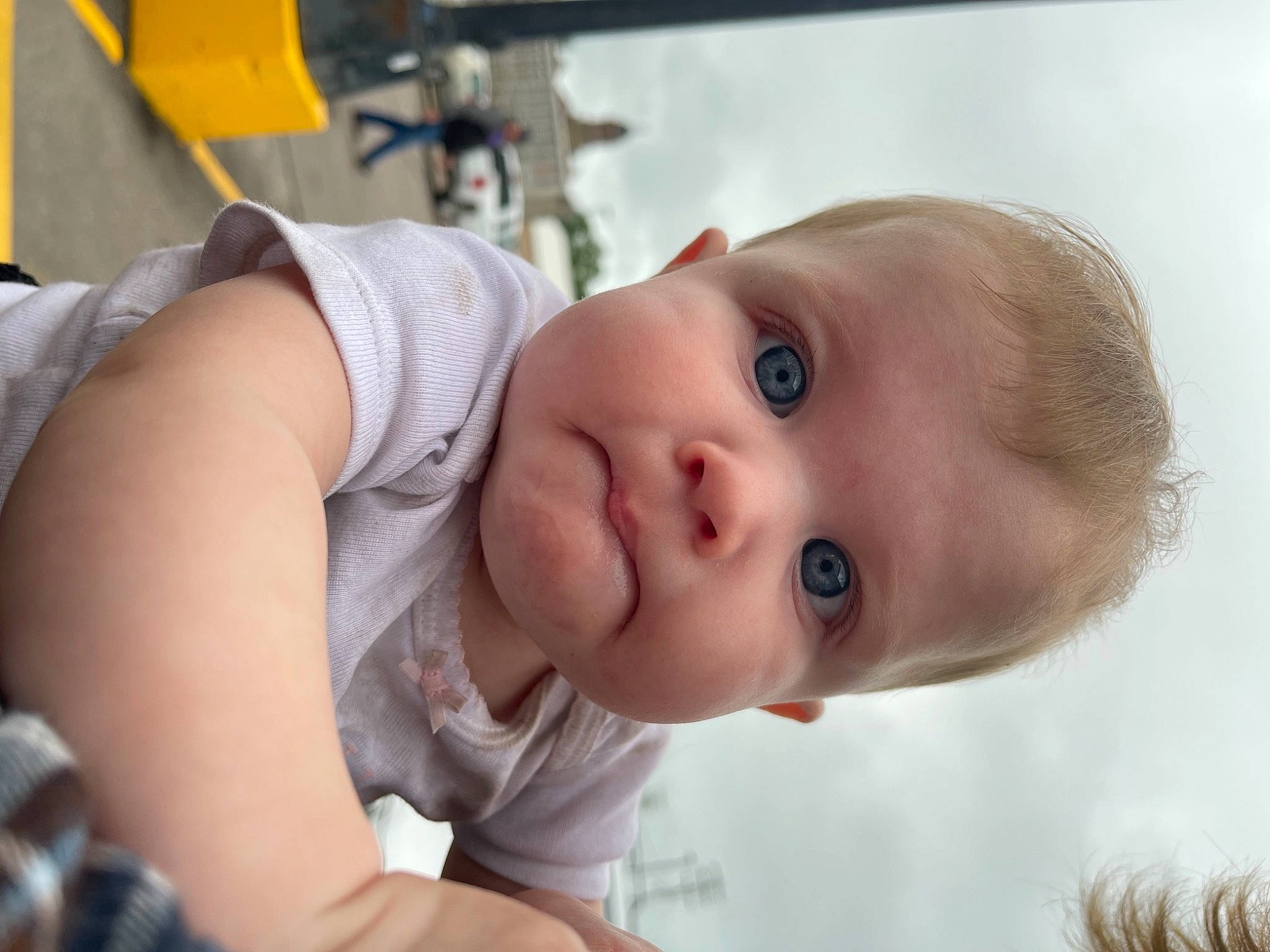 Berkley is registered to the contest to win money with this photo: baby, baby_toddler_clothing, cheek, chest, child, dress, eye, eyelash, fun, grass, hair, happy, lip, mouth, neck, nose, person, portrait_photography, skin, toddler