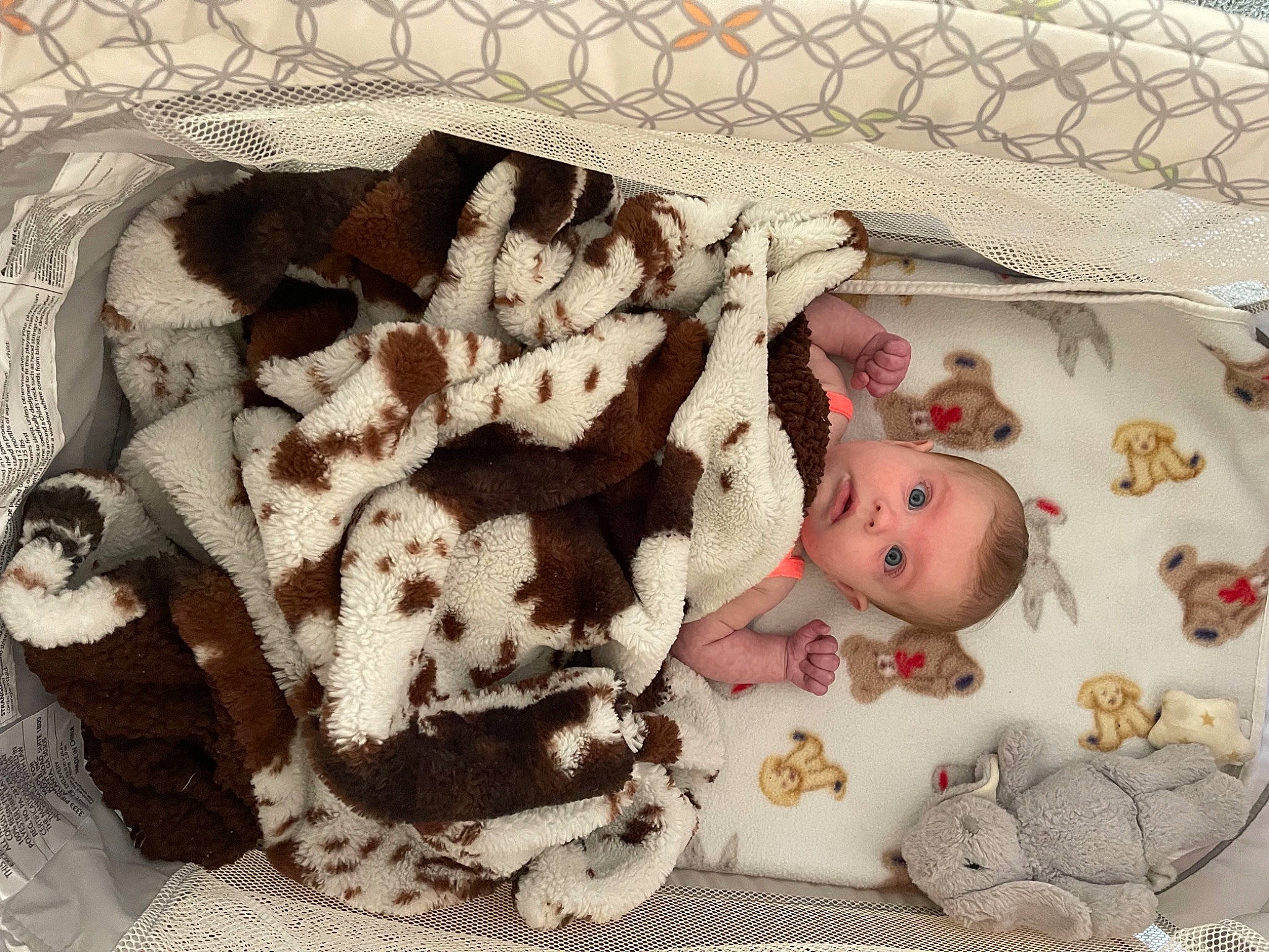 Berkley is registered to the contest to win money with this photo: baby, baby_products, baby_safety, baby_sleeping, baby_toddler_clothing, baby_toys, bedding, cheek, child, comfort, fur, headgear, linens, pattern, person, room, stuffed_toy, surprise, toddler, toy