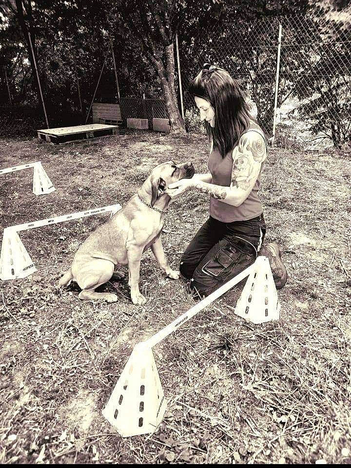 Thaïs participe au concours pour gagner de l'argent avec cette photo : black_and_white, carnivore, companion_dog, dog, dog_breed, fawn, grass, happy, human_leg, leisure, monochrome, monochrome_photography, people_in_nature, plant, recreation, style, tints_and_shades, tree, vintage_clothing, white