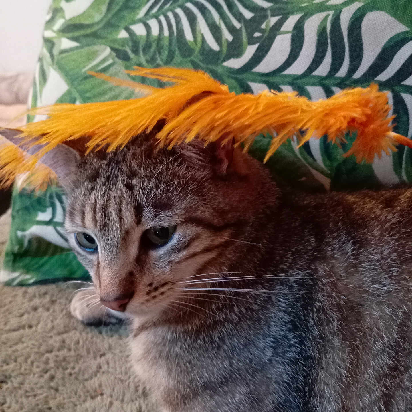 Horus