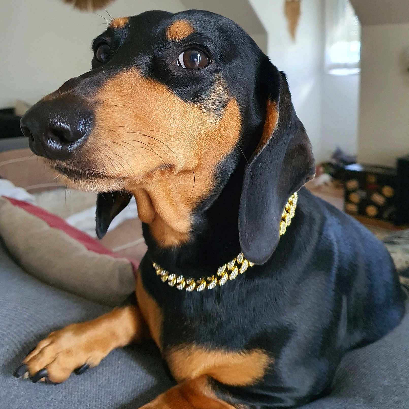 Chiko
