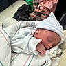 Sanai joined the competition — help win amazing prizes! newborn, baby, sleeping, blanket, hospital, cap, infant, person, bed, furniture, bag, pink_bag, black_bag, white_clothing, indoor, peaceful, wrapped, portrait, resting, cute