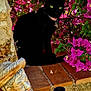 black_cat, cat, flowers, pink_flowers, green_leaves, brick, ceramic_statue, bearded_man_statue, garden, outdoor, plant, nature, pet, animal, decorative, colorful, sunlight, shadows, collar, jugs