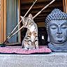 cat, tabby_cat, plaid_cushion, statue, buddha, window, open_window, wooden_beams, stone_statue, indoor, feline, animal, pet, curious, yellow_eyes, sitting, peaceful, decor, house, quiet
