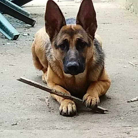 Tina
