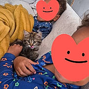 Berlioz participe au concours pour gagner de l'argent avec cette photo : kitten, cat, children, child, family, couch, sofa, blanket, mustard_blanket, pajamas, blue_clothing, sitting, cuddling, indoor, bedroom, cat_tree, furniture, portrait, heart_stickers, cozy