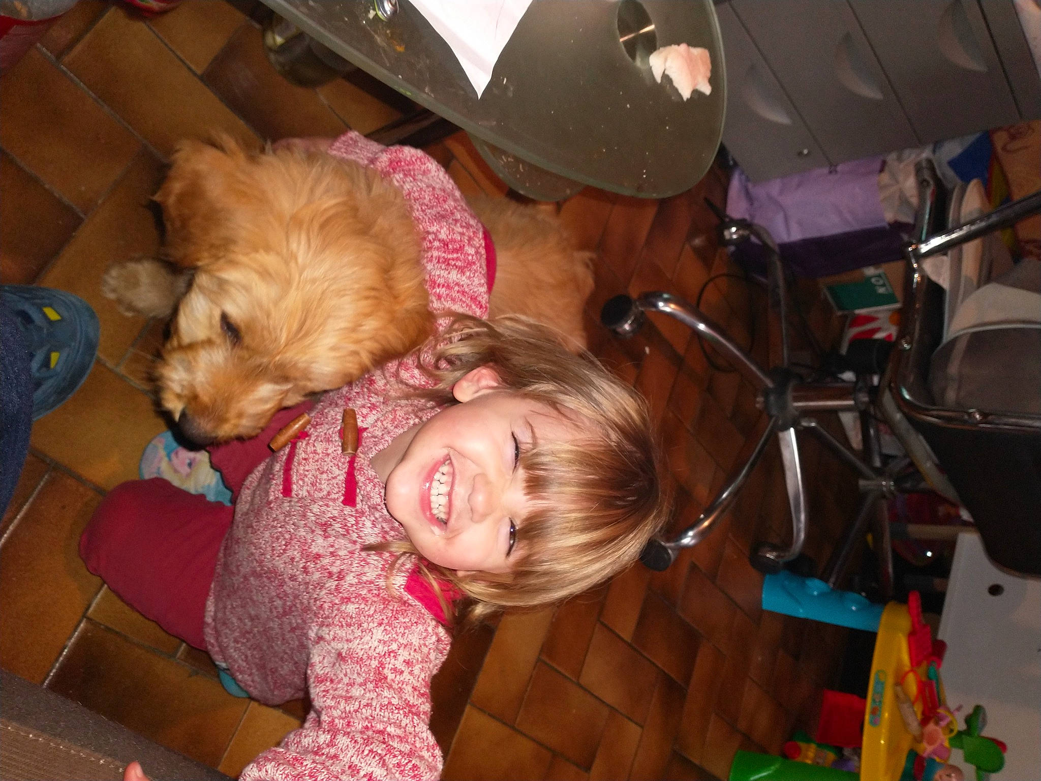 Aëlis participe au concours pour gagner de l'argent avec cette photo : child, companion_dog, dog, dog_breed, event, fun, fur, happy, hat, iris, joy, leisure, party, person, play, room, skin, smile, toddler, toy_dog