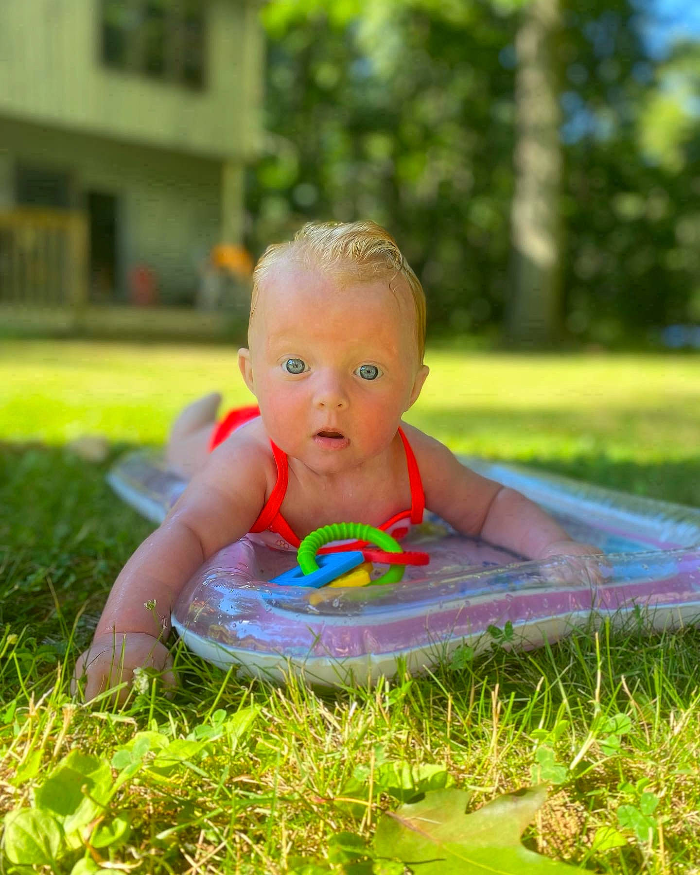 Kinsley is registered to the contest to win money with this photo: baby, baby_toddler_clothing, child, electric_blue, eye, flooring, fun, garden, grass, happy, lawn, leisure, people_in_nature, person, plant, recreation, sitting, surprise, t_shirt, toddler