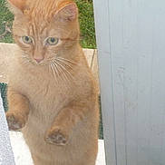 Russell a rejoint le concours — aidez-le/la à gagner de superbes lots !