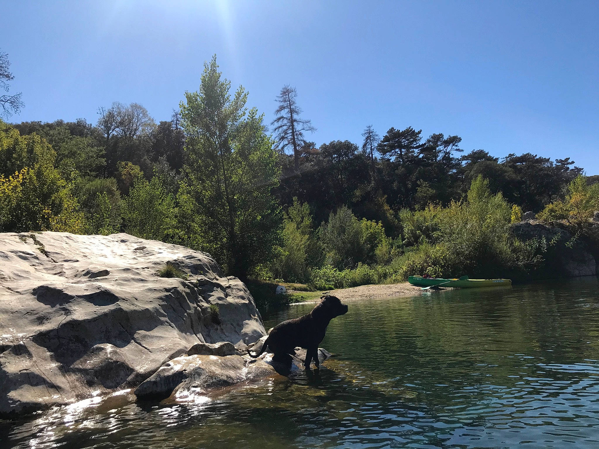 Narco a rejoint le concours — aidez-le/la à gagner de superbes lots ! adventure, bank, biome, canidae, inlet, labrador_retriever, lake, mountain, pond, river, rock, sea, sky, sporting_group, tourism, tree, water, water_resources, watercourse, wilderness