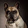 Filou