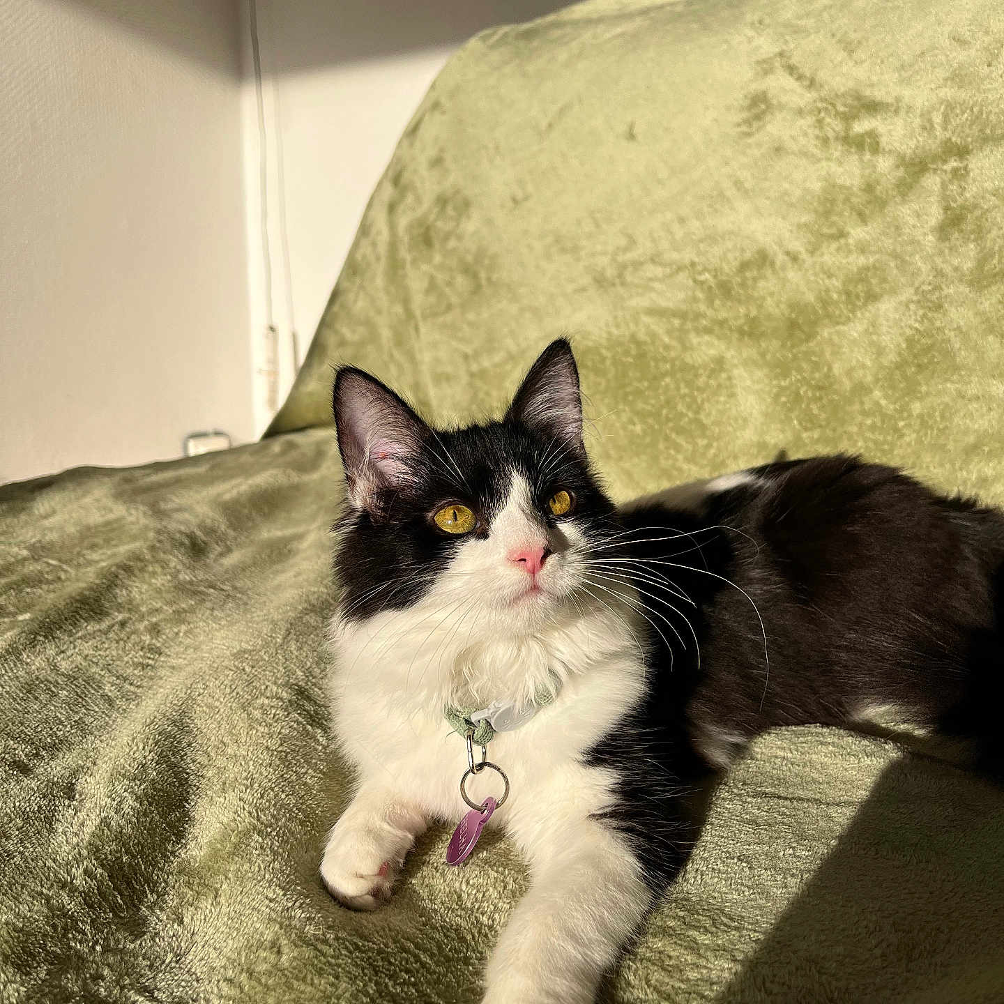 Helha
