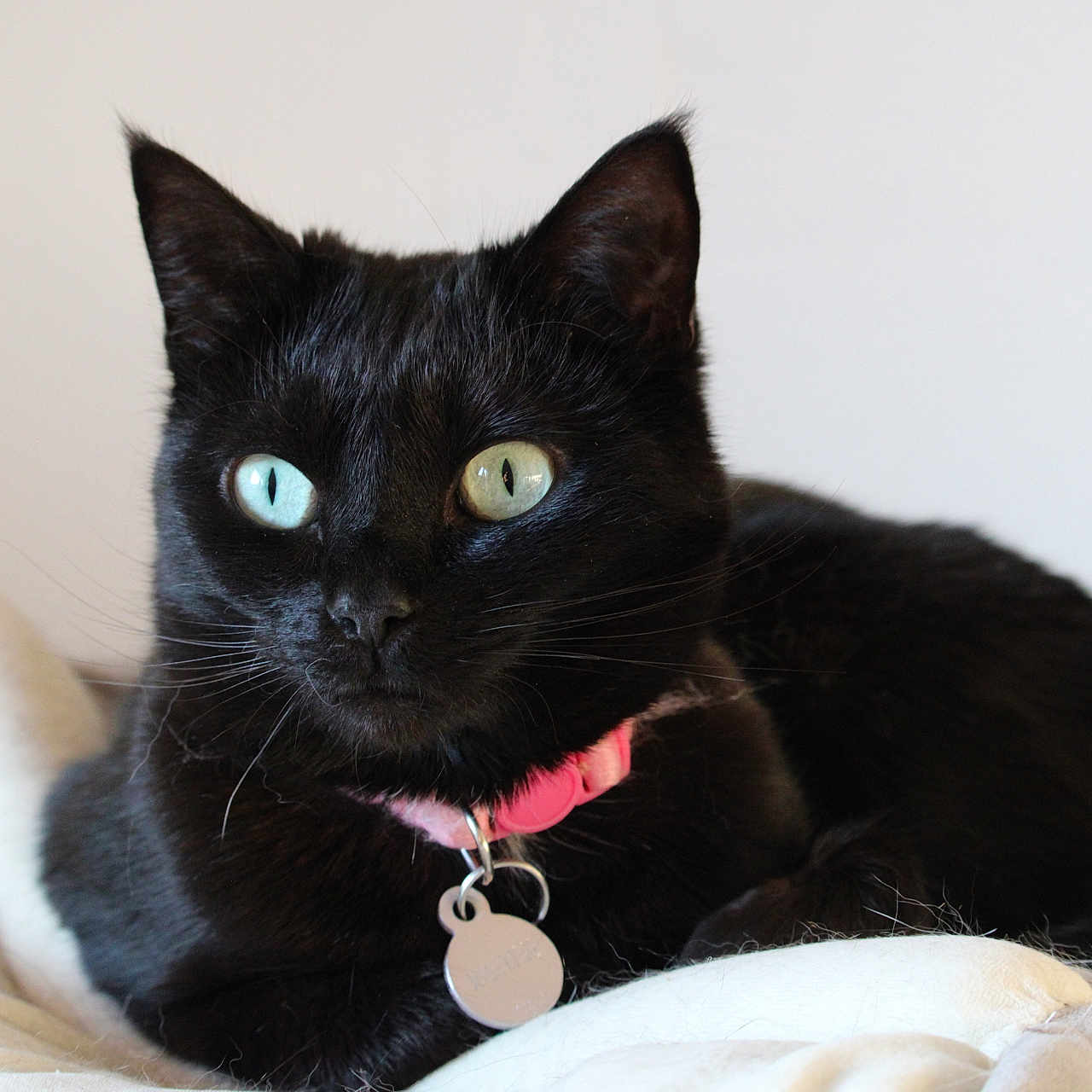 Nala