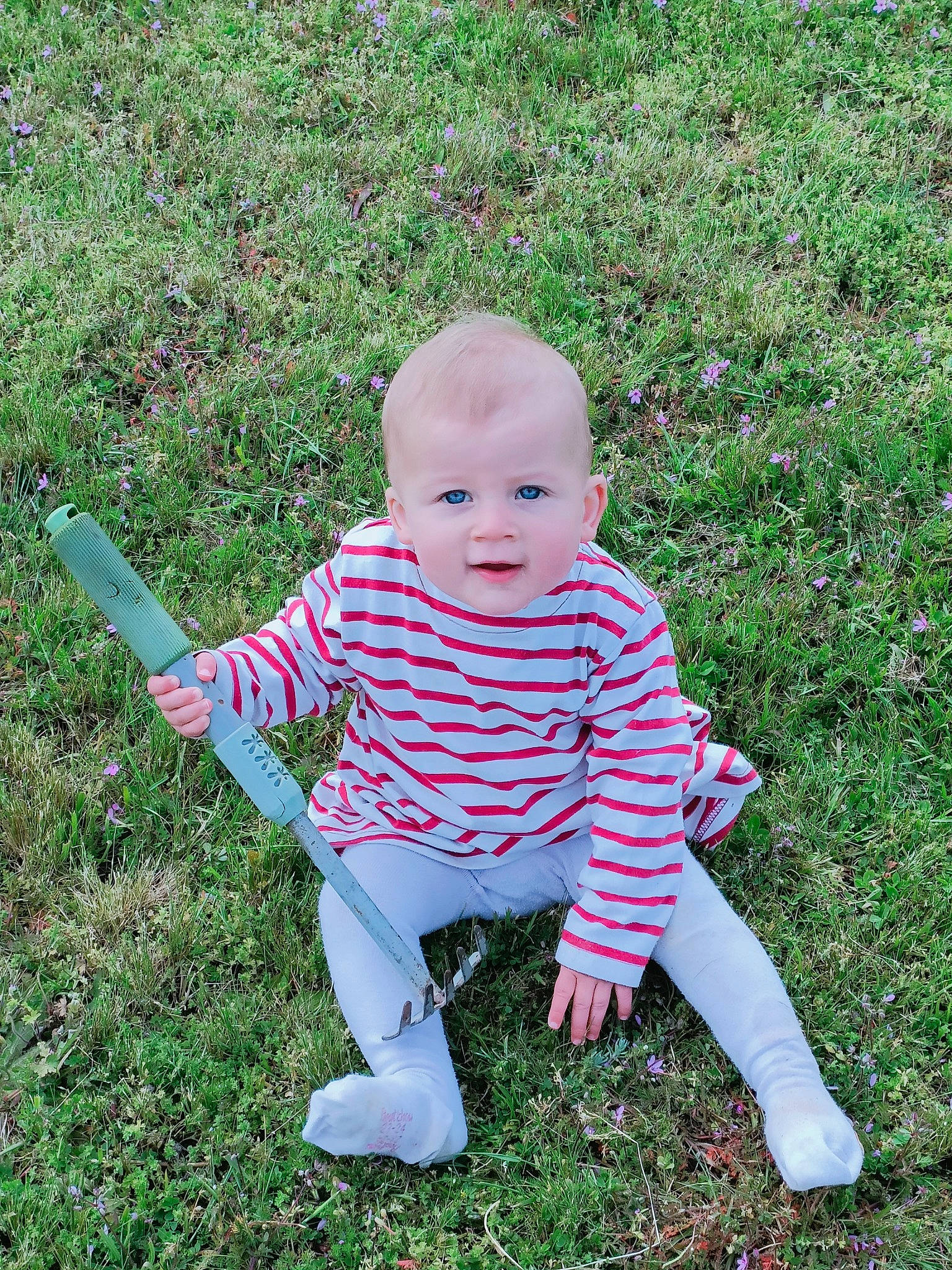 Emy participe au concours pour gagner de l'argent avec cette photo : baby, baby_toddler_clothing, child, fun, garden, gardening, grass, grass_family, grassland, groundcover, happy, lawn, pattern, people_in_nature, person, sitting, smile, toddler, yard
