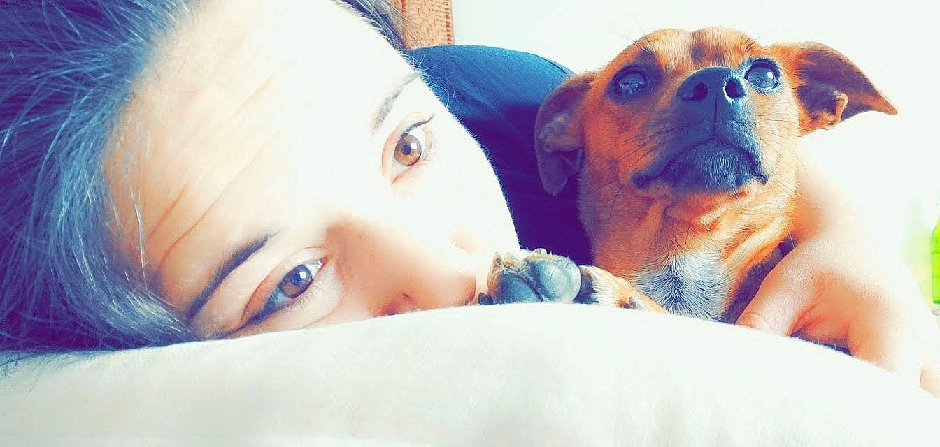 Plume a rejoint le concours — aidez-le/la à gagner de superbes lots ! boerboel, canidae, carnivore, companion_dog, dog, dog_breed, eye, fawn, head, nose, puggle, puppy, puppy_love, rhodesian_ridgeback, selfie, skin, snout, sporting_group