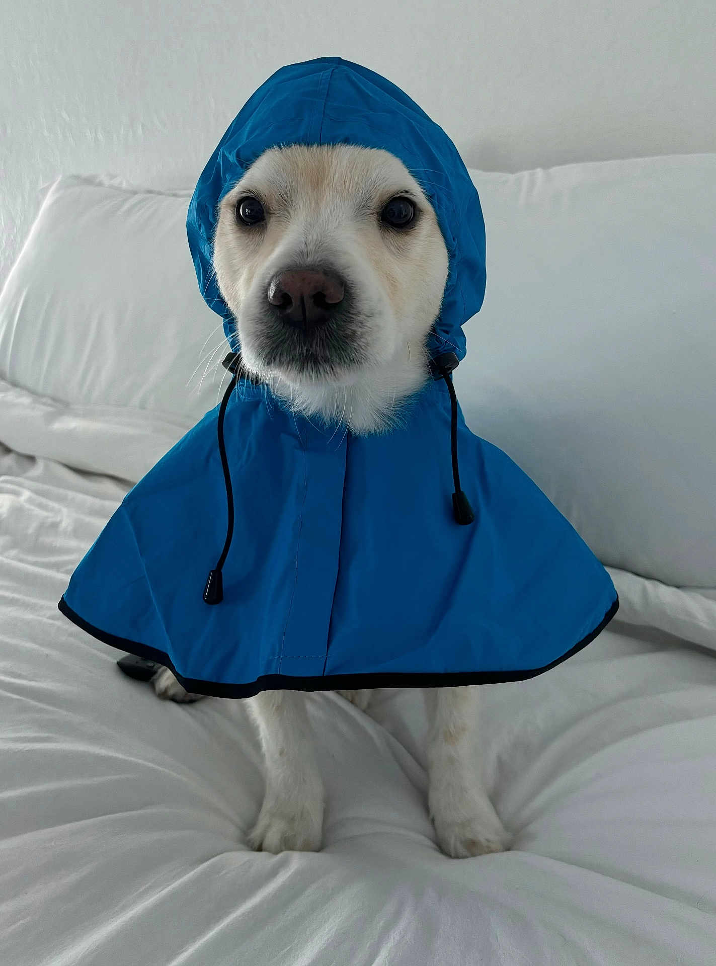 Benny