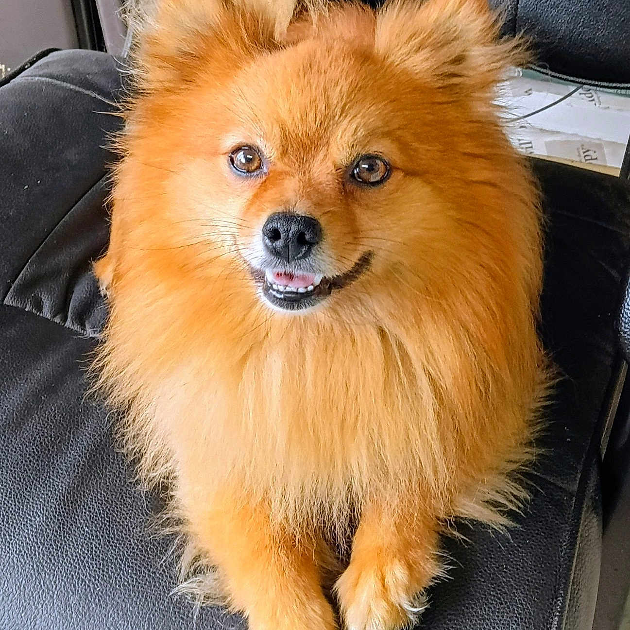 Tyson
