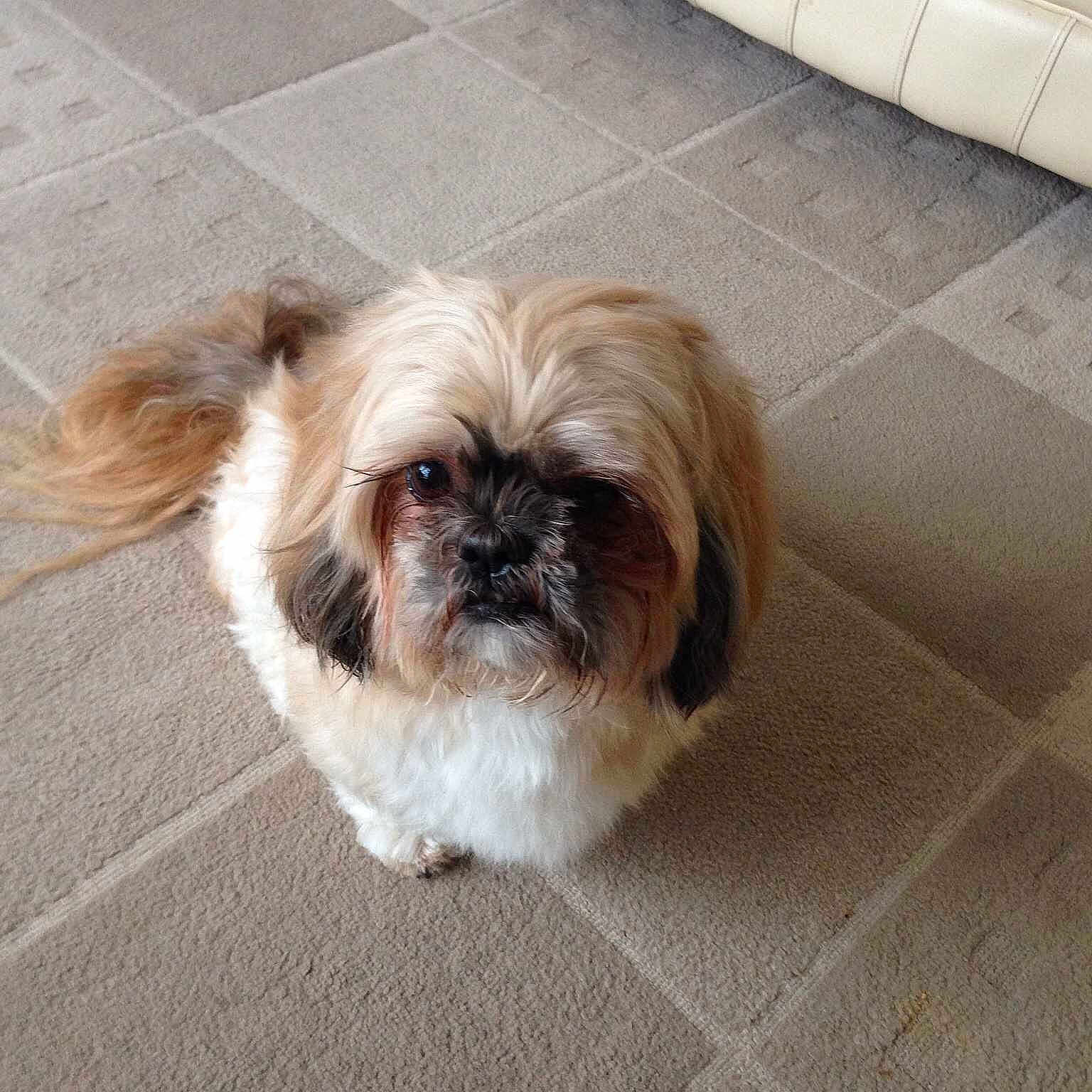 Buster