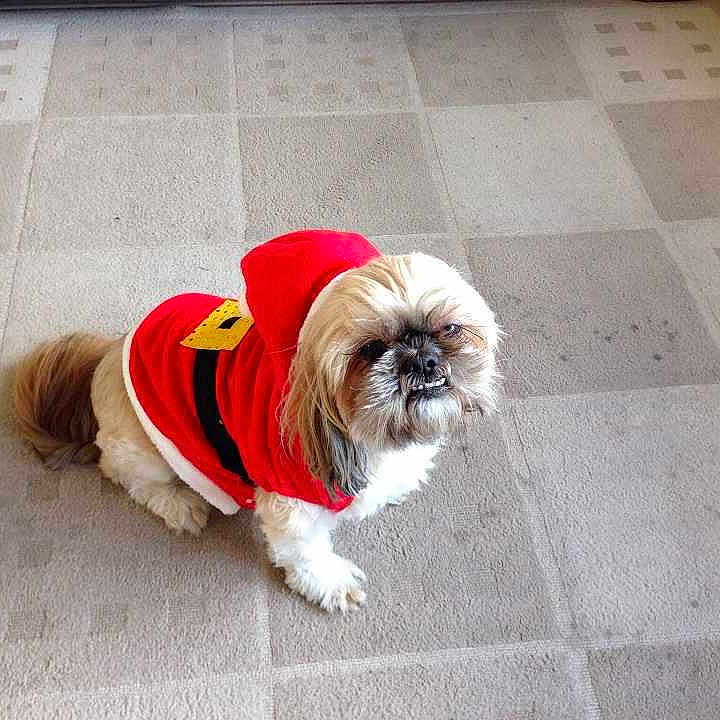 Buster is registered to the contest to win money with this photo: