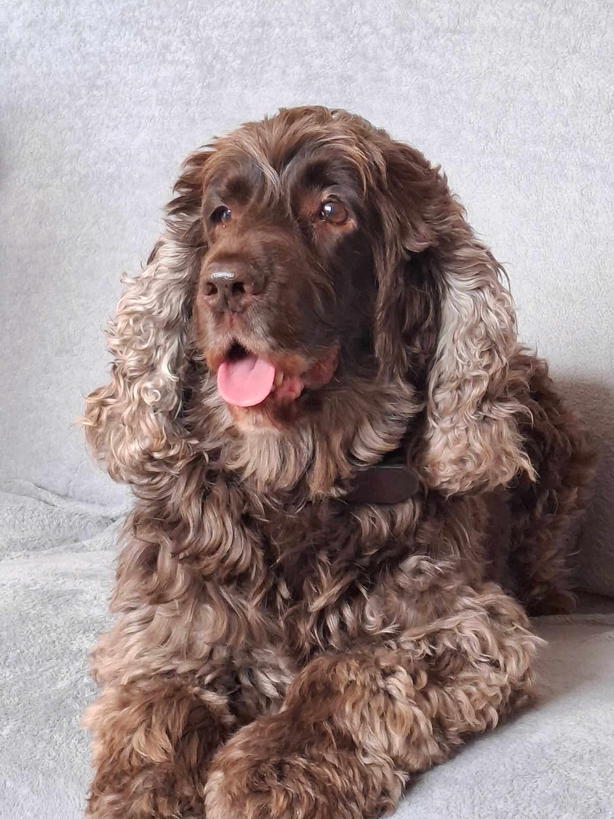 Marley
