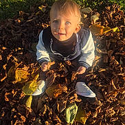 Gabriel a rejoint le concours — aidez-le/la à gagner de superbes lots ! child, toddler, autumn, leaves, outdoor, sunlight, grass, curious, blue_eyes, jacket, shoes, nature, fall, season, park, play, baby, cute, sitting, daylight