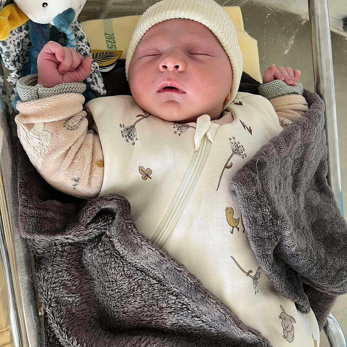 Paulin a rejoint le concours — aidez-le/la à gagner de superbes lots ! baby, bassinet, bear, bed, blanket, child, clothing, cozy, cute, hat, hospital, infant, newborn, peaceful, portrait, resting, sleeping, soft, swaddled, toy