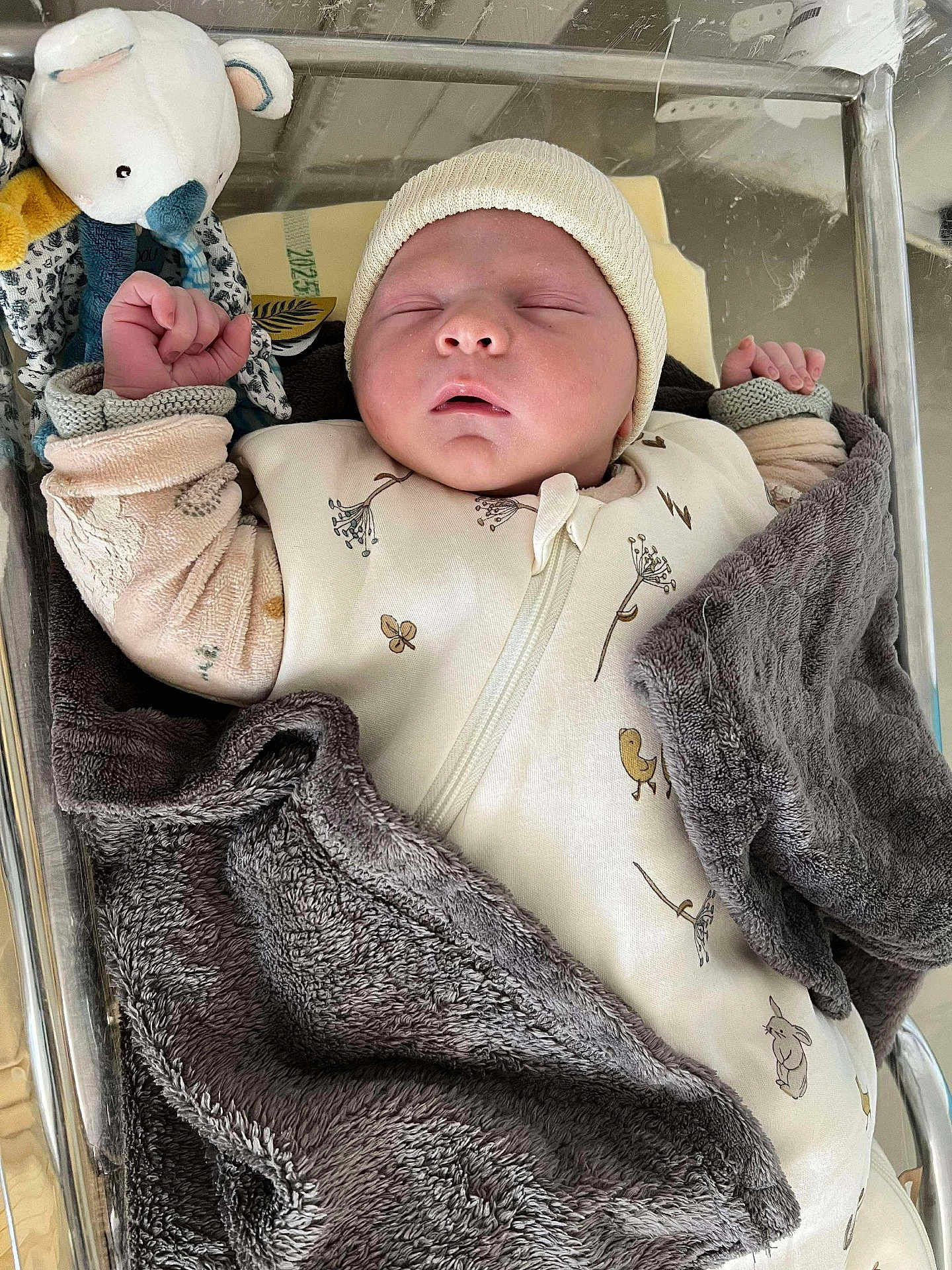 Paulin a rejoint le concours — aidez-le/la à gagner de superbes lots ! newborn, baby, sleeping, blanket, hat, bassinet, toy, bear, hospital, infant, peaceful, cozy, cute, swaddled, child, portrait, bed, soft, resting, clothing