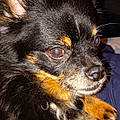 Charlotte D.