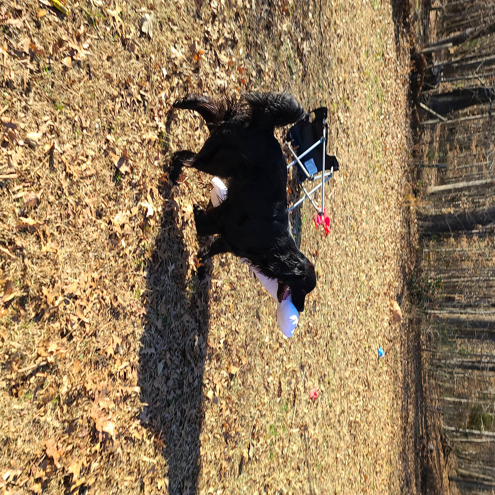 Pockets joined the competition — help win amazing prizes! adventure, agriculture, asphalt, carmine, concrete, grass, landscape, leisure, people_in_nature, recreation, reflection, road_surface, rock, sand, shadow, soil, tints_and_shades, trunk, water, wood