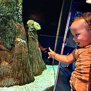 Odin joined the competition — help win amazing prizes! animal, aquarium, aquatic, bodypart, clothing, face, finger, fish, footwear, hand, head, invertebrate, nature, outdoors, person, reef, sea, sealife, shoe, water
