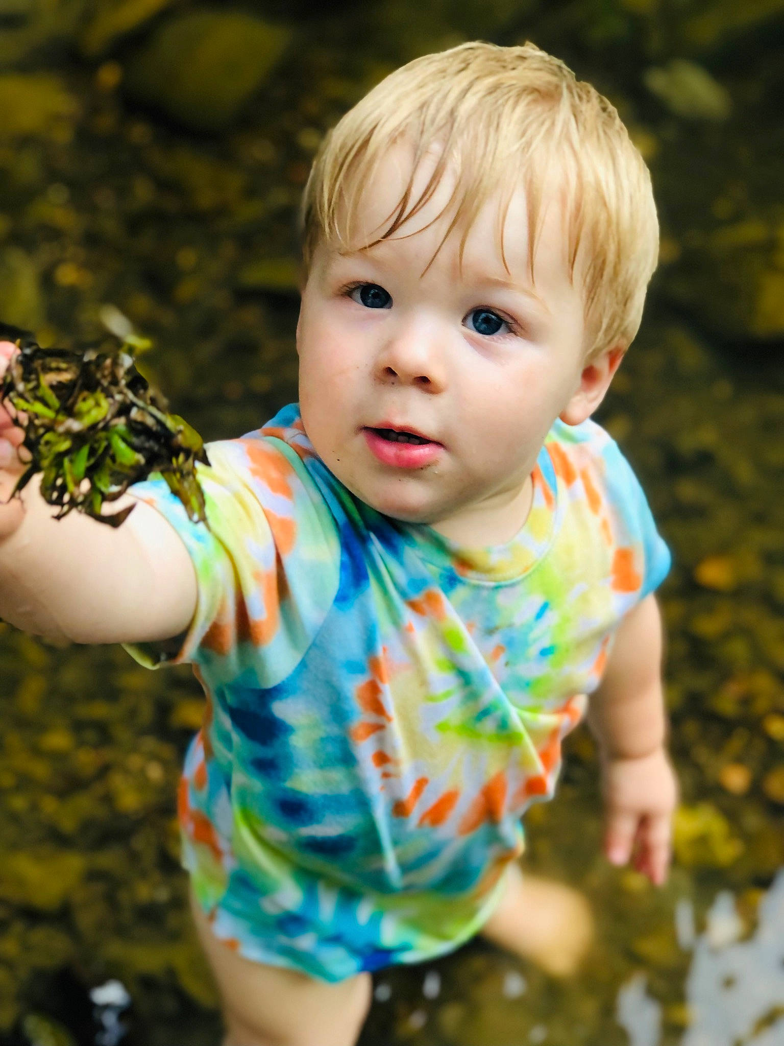 Axl joined the competition — help win amazing prizes! arthropod, baby, baby_toddler_clothing, beauty, fun, grass, hair, happy, insect, iris, leaf, nose, organ, people_in_nature, person, plant, skin, smile, standing, summer