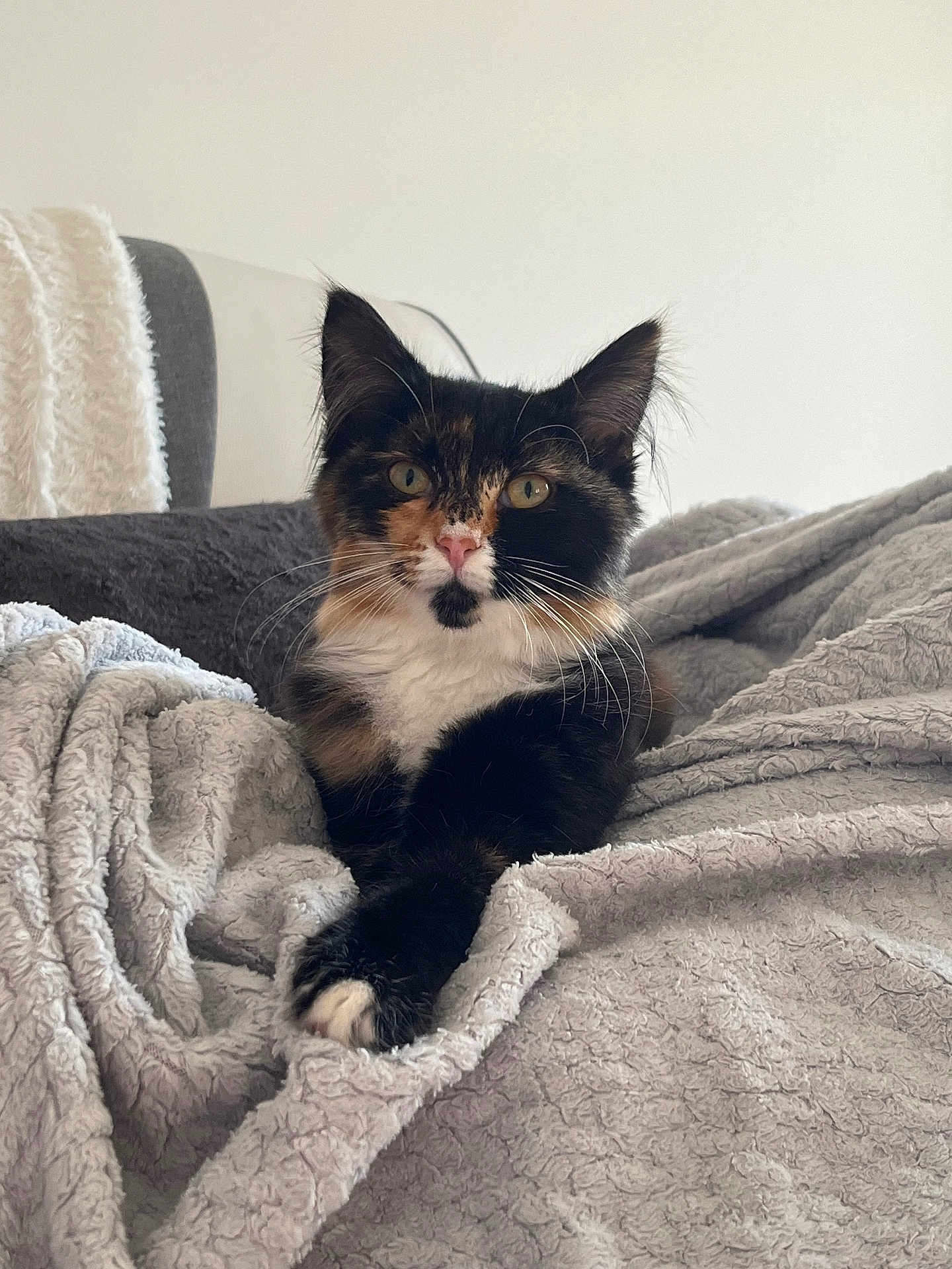 Mya