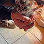 kitten, cat, hand, person, indoor, floor, tile, fur, animal, pet, cute, small, young, holding, domestic, whiskers, face, curious, soft, cozy