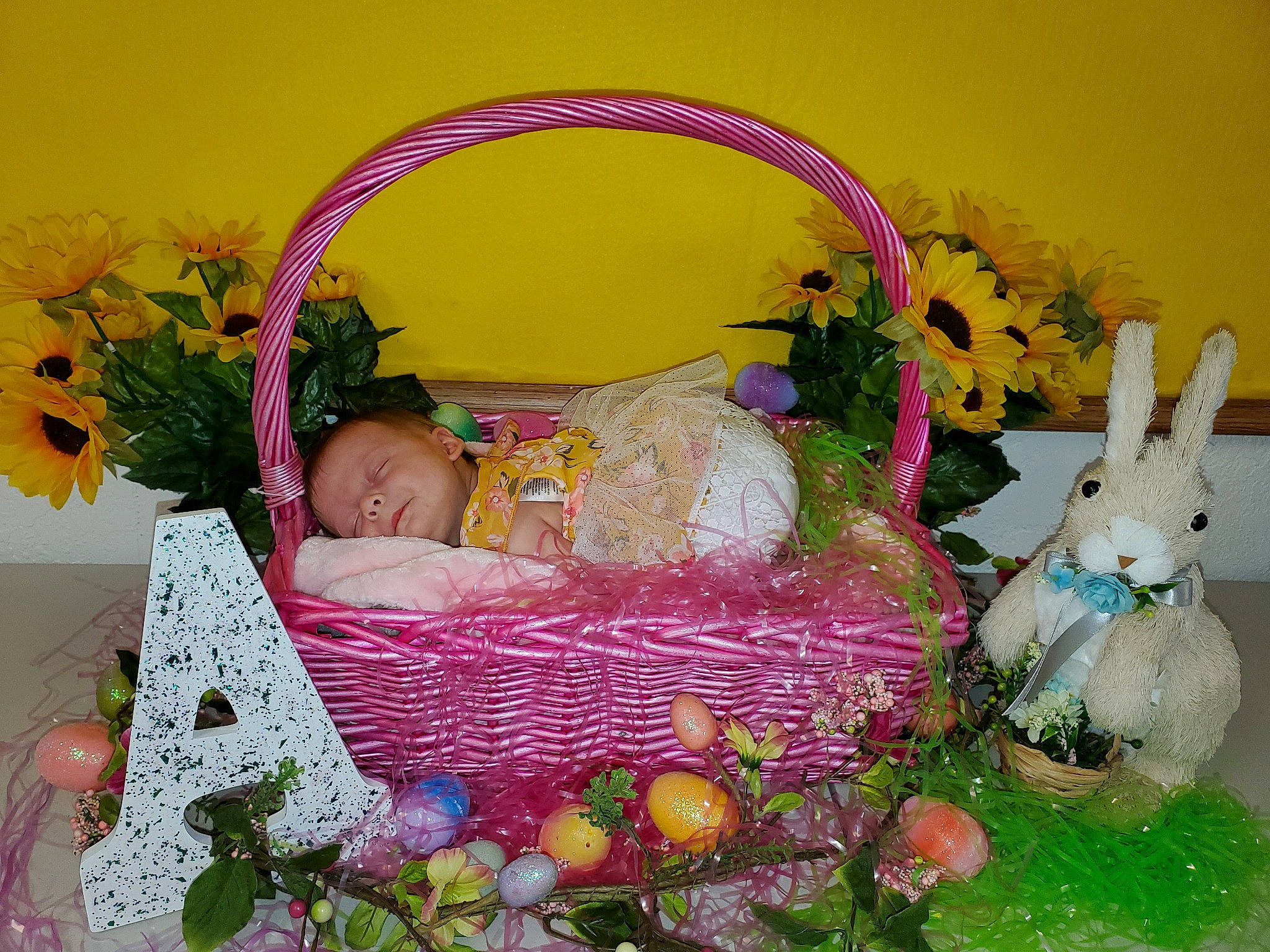 Abigail joined the competition — help win amazing prizes! baby, basket, domestic_rabbit, easter, easter_bunny, event, floral_design, flower, flower_arranging, fruit, gift_basket, grass, person, picnic_basket, plant, rabbit, rabbits_and_hares, toddler, toy, wicker