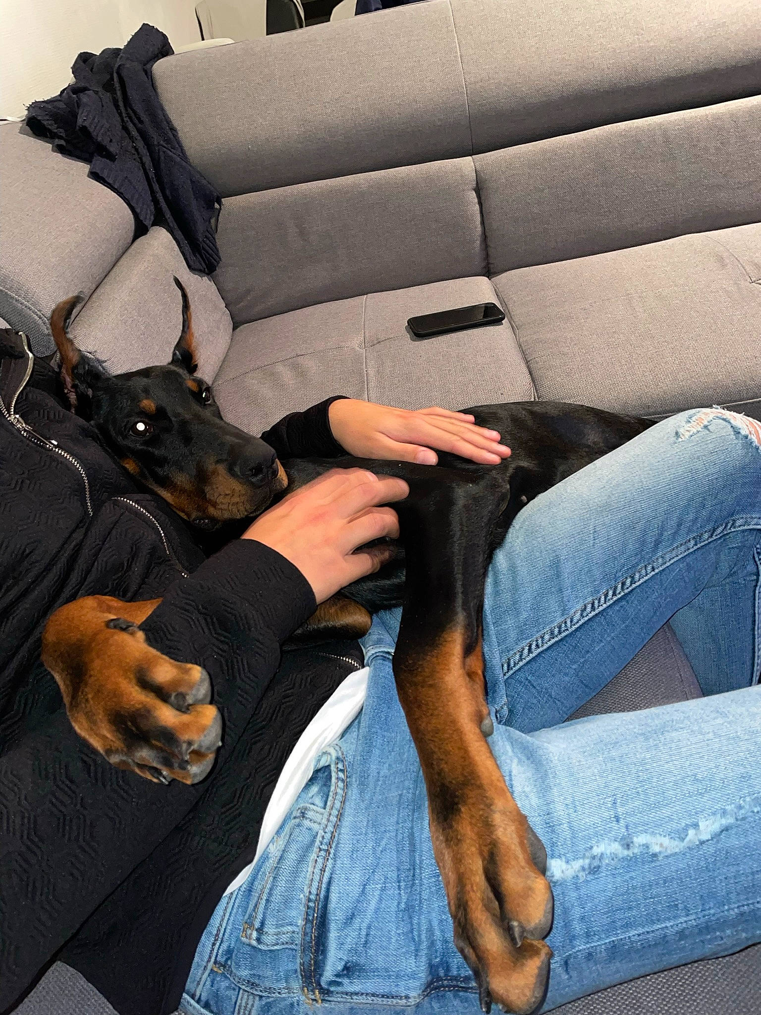 Black participe au concours pour gagner de l'argent avec cette photo : auto_part, automotive_design, comfort, couch, denim, electric_blue, finger, gesture, hand, human_leg, jeans, knee, leg, nail, personal_luxury_car, sitting, thigh, tints_and_shades, vehicle_door, wrist